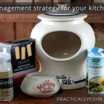 Salt Management Strategy